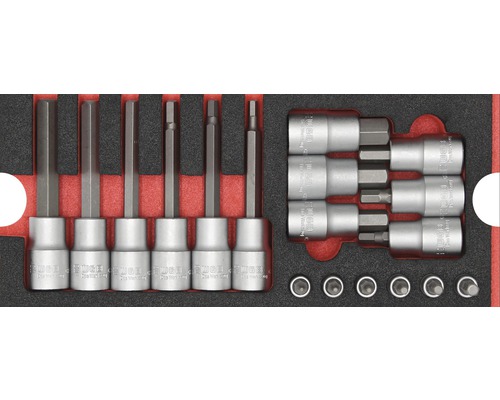 WGB Plateau mousse TX Composition de clés à douille taille S 268 x 38 x 114 mm noir 23 pièces