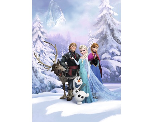 Papier peint panoramique papier 4-498 Disney Edition 4 Reine des neiges Winter Land 4 pces 184 x 254 cm