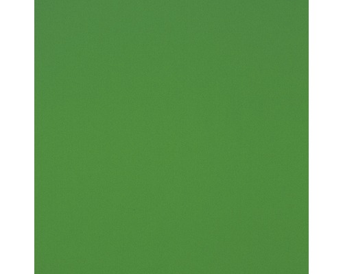 Plaque en mousse Hobbycolor vert 500 x 1250 x 3 mm Fond vert