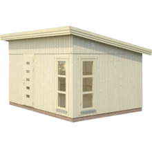 Abri de jardin en bois avec porte et fenêtres