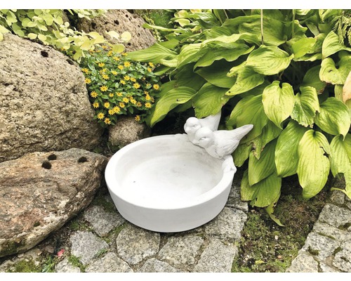 Abreuvoir en faïence avec décoration d''oiseaux dans le jardin