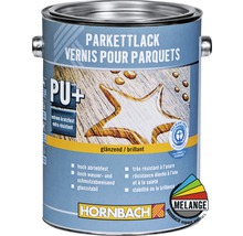 Boîte de vernis à parquet brillant
