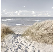 Photo sous verre Oasis des Sens I 50x50 cm