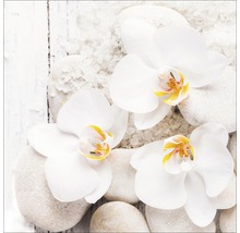 Stillleben mit Orchideenblüten, Steinen und Badesalz