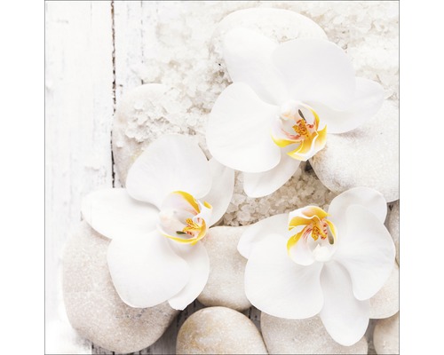 Photo sous verre White&Yellow Flowers 3 30x30 cm
