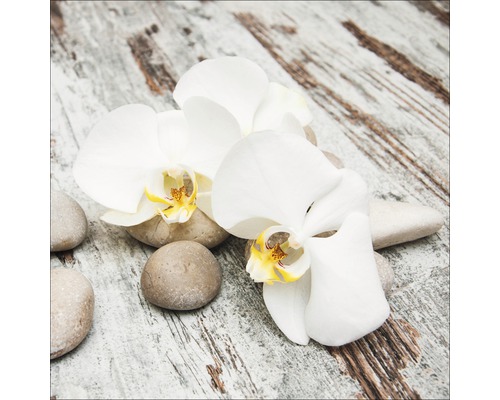 Photo sous verre White&Yellow Flowers 4 30x30 cm