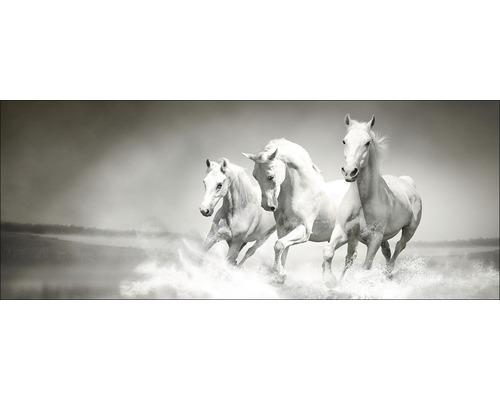 Glasbild White Horses 30x80 cm