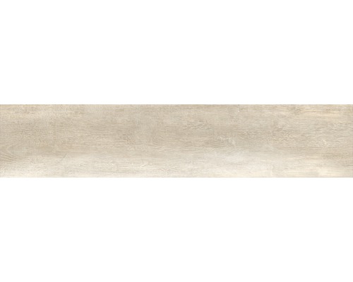Carrelage sol et mur Tradizione beige 24x120 cm