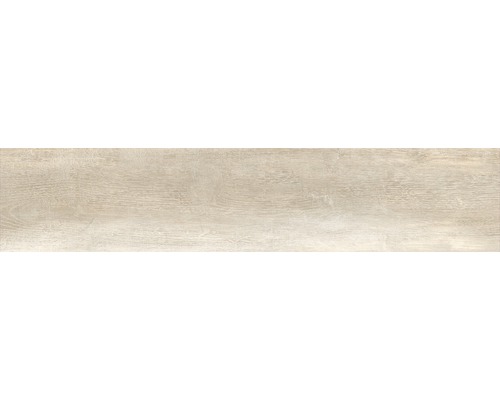 Wand- und Bodenfliese Tradizione beige 24x120 cm