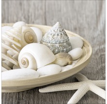 Dekoschale mit Muscheln, Steinen und Seestern