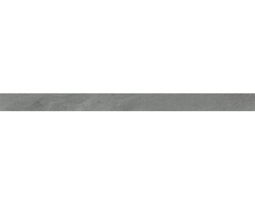 Carrelage de plinthe Austral gris 8x45 cm
