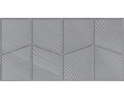 Carrelage de sol en grès cérame fin Austral gris 32x62,5 cm