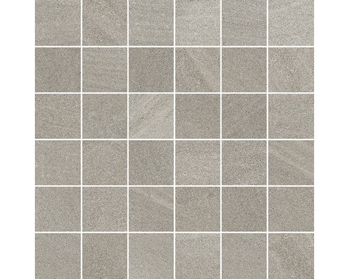 Feinsteinzeugmosaik Austral beige 30x30 cm