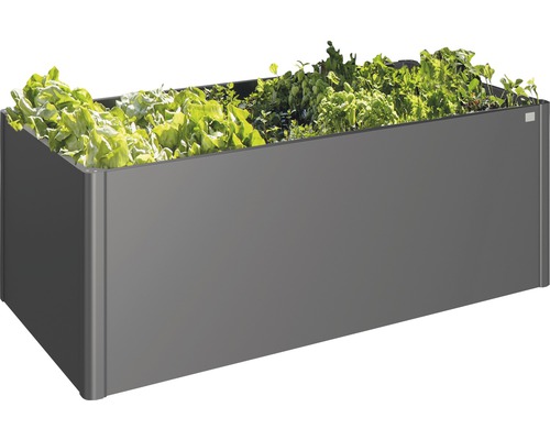 Rechteckiger Pflanzkasten mit Salatbepflanzung