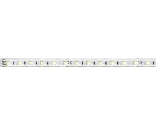 MaxLED Bande 1 m 550 lm 2700-6500 K blanc chaud-blanc lumière du jour 60 LED Tunnable White 24 V