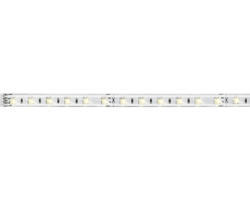 Ruban LED 1m blanc chaud 2700K 550 lumens Maxled PAULMANN