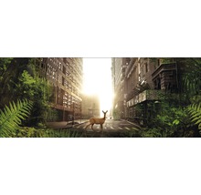 Glasbild Secret World 50x125 cm