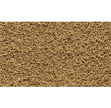 Gros plan de granulés pour poissons