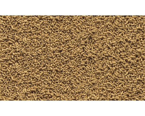 Gros plan de granulés pour poissons