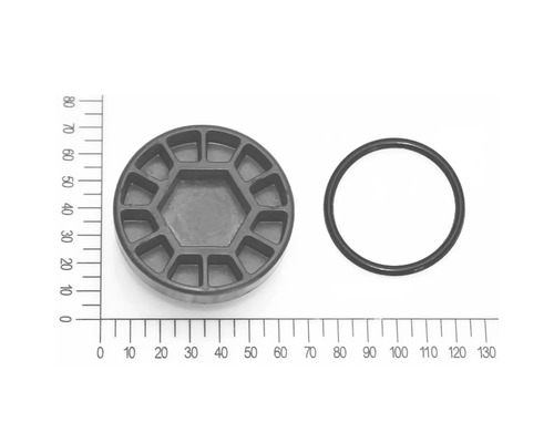 Ablassschraube für Vorfilter mit O Ring für FQ-HW 3.200 Hauswasserwerk (5813003) schwarz