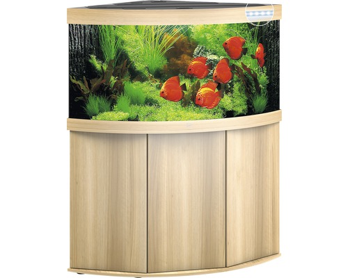 Aquarium d''angle avec meuble bas, planté et avec des poissons