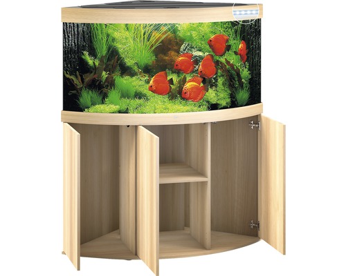Aquarium d''angle avec meuble bas et contenu