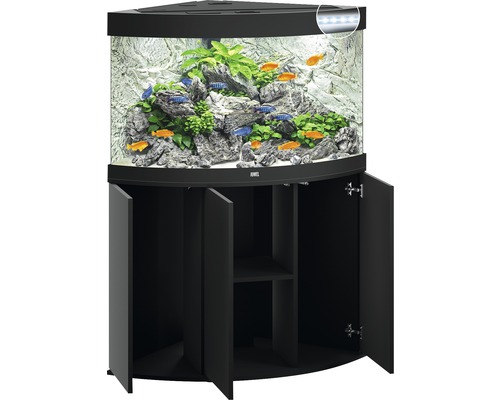 Aquarium d''angle avec meuble bas, décoré de poissons et de plantes