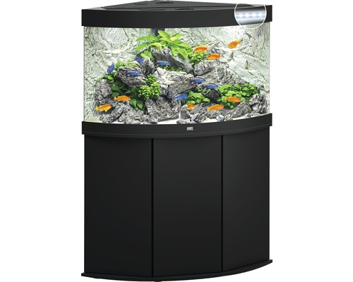 Aquarium d''angle avec meuble bas, rempli de poissons, de plantes et de pierres