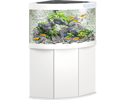 Eckaquarium mit Fischen, Pflanzen und Dekoration auf einem weißen Unterschrank