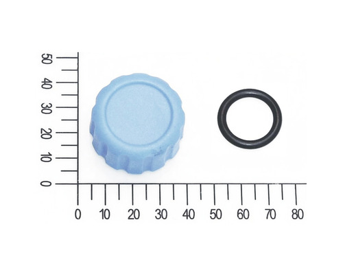 Vis de purge petit modèle avec anneau pour pompe de jardin FQ-GP 4.000 (5813016)