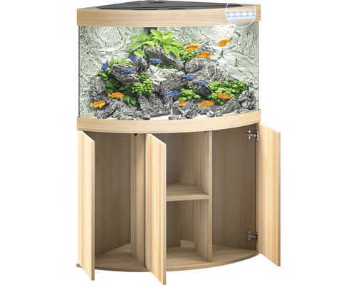 Aquarium d''angle avec meuble bas, équipé de poissons, de plantes et de pierres.