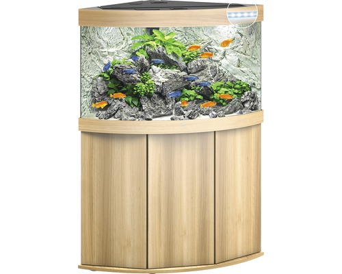 Aquarium d''angle avec meuble bas, poissons, plantes et décoration