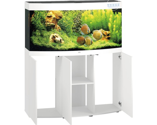 Aquarium avec meuble bas et décoration