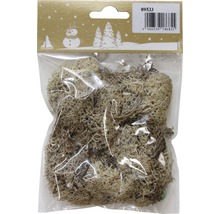 Emballage de mousse d''Islande pour la décoration