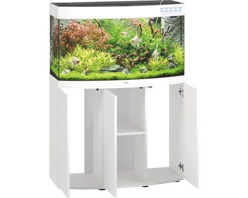 Aquarium avec meuble bas et poissons