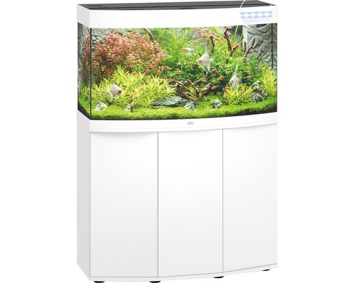 Aquarium avec meuble bas en blanc, planté et avec des poissons