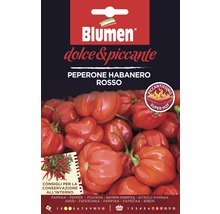 Blumen Peperone Habanero Rosso sachet de graines