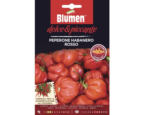 Piment Habanero Red semences de légumes Samen Mauser