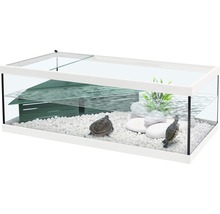 Aquarium rectangulaire avec couvercle en verre, deux tortues d''eau, zone de repos verte et pierres blanches