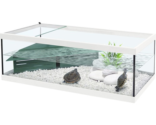 Aquarium rectangulaire avec couvercle en verre, deux tortues d''eau, zone de repos verte et pierres blanches
