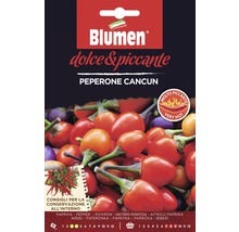 Blumen Sachet de graines de Peperone Cancun