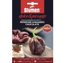 Blumen Sachet de graines de Peperone Habanero Chocolate