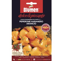 Sachet de graines Blumen pour piment habanero orange