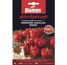Blumen Jamaican Red Pepper Sachet de graines