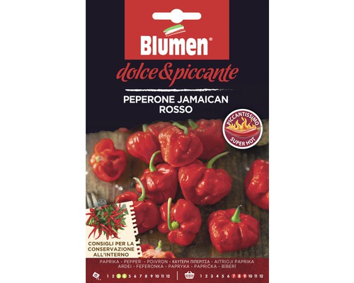 Peperoni Jamaican Red Gemüsesamen Samen Mauser