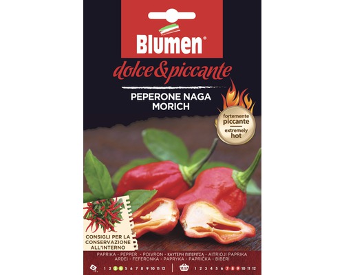 Peperoni Naga Morich Gemüsesamen Samen Mauser