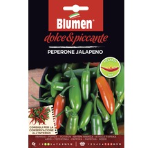 Blumen Paquet de graines de poivrons Jalapeno