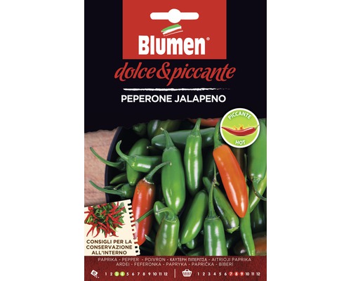 Piment Jalapeno semences de légumes Samen Mauser