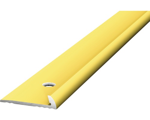 Profilé de finition Prinz aluminium or perforé 18 x 4 x 2500 mm