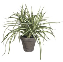 Kunstpflanze Dracena, grün